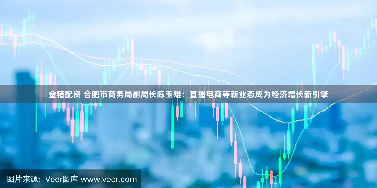 金猪配资 合肥市商务局副局长陈玉雄：直播电商等新业态成为经济增长新引擎