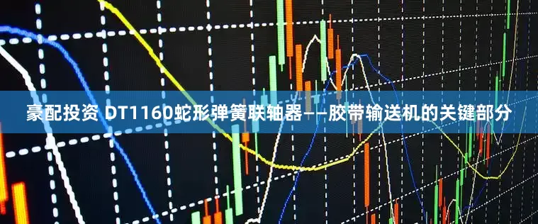 豪配投资 DT1160蛇形弹簧联轴器——胶带输送机的关键部分