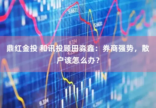 鼎红金投 和讯投顾田淼鑫：券商强势，散户该怎么办？